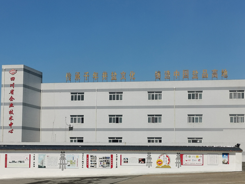 四川自貢馳宇鹽品有限公司社會(huì)責(zé)任報(bào)告（2024年度）